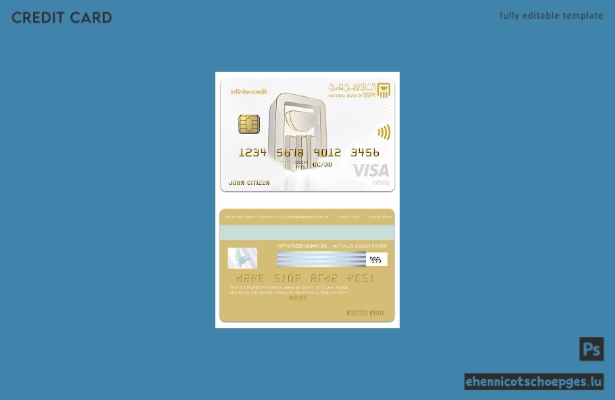 Beispielvorschau der Visa Infinite Card der ägyptischen Nationalbank